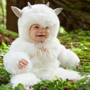 Pottery Barn Kids Costume Baby Woodland Goat Halloween Dress Up Cozy 0-6 Months
